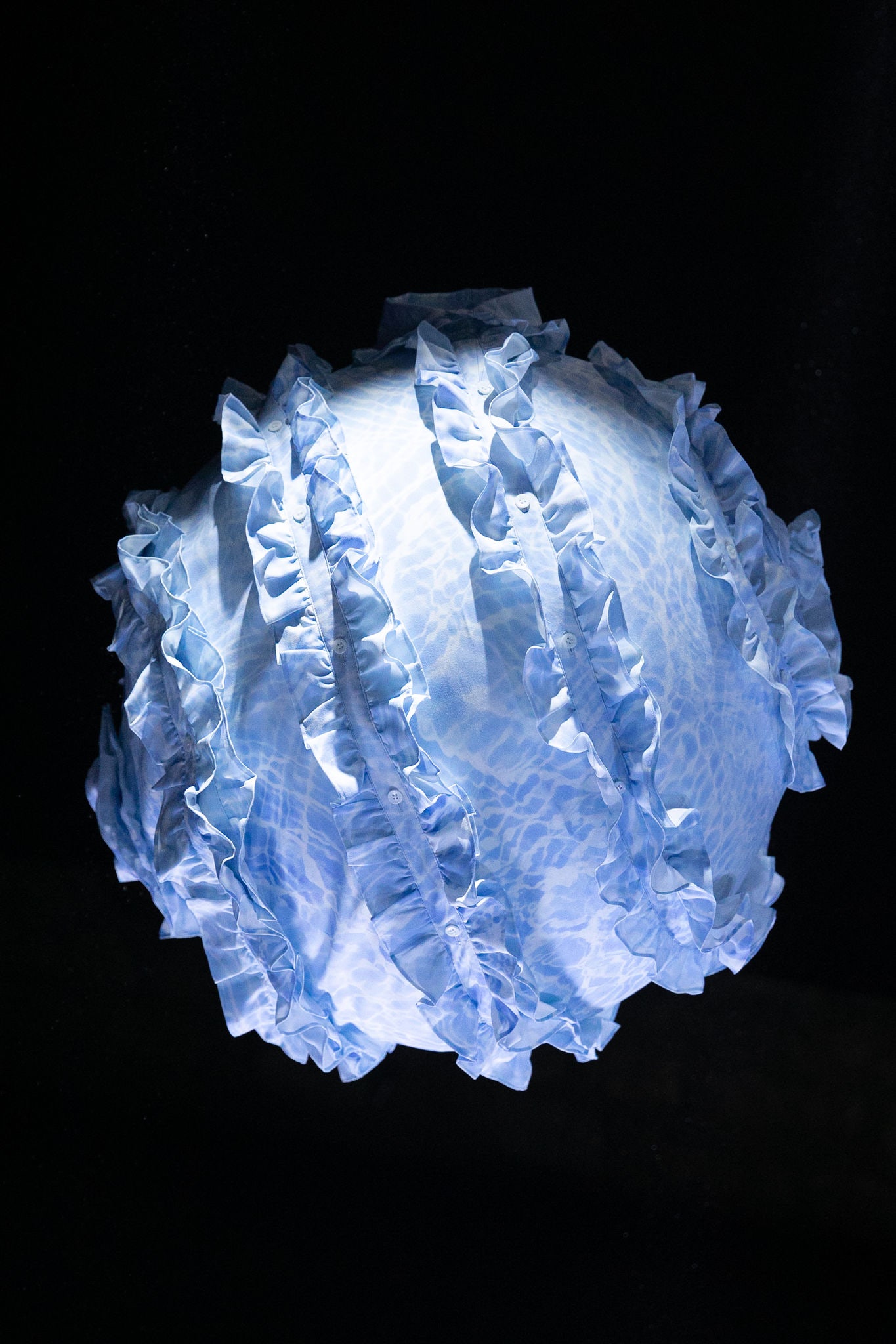 009