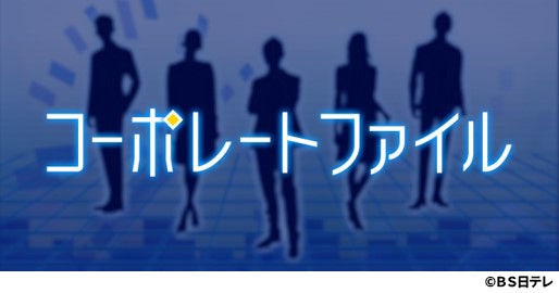 CorporateFile_3
