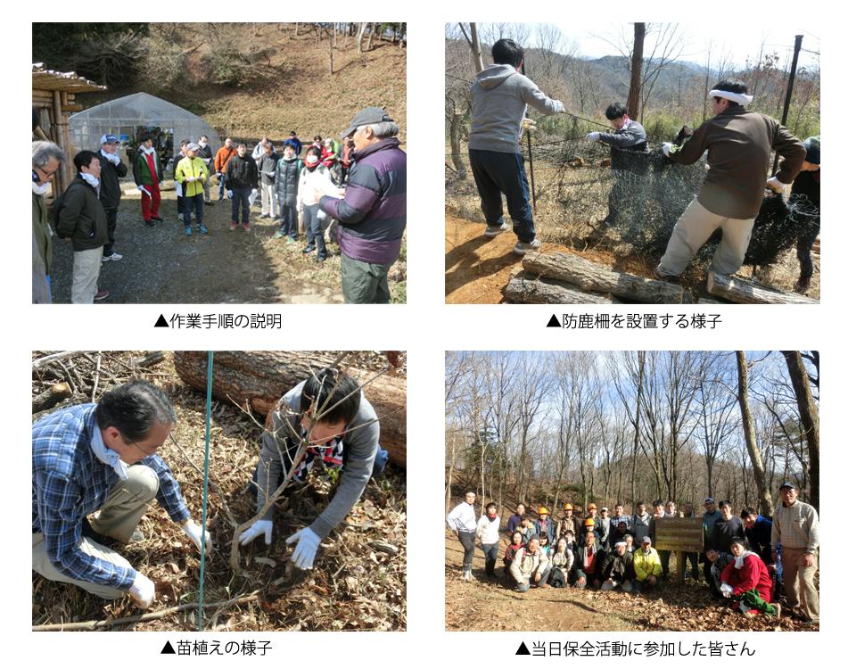 rls-20170309