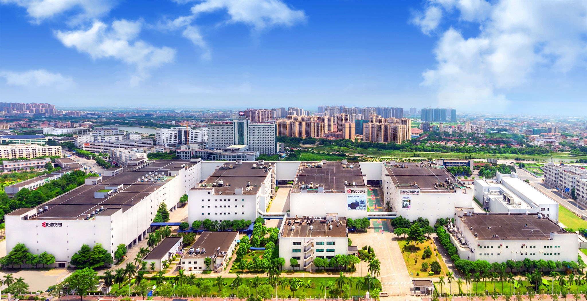 China plant