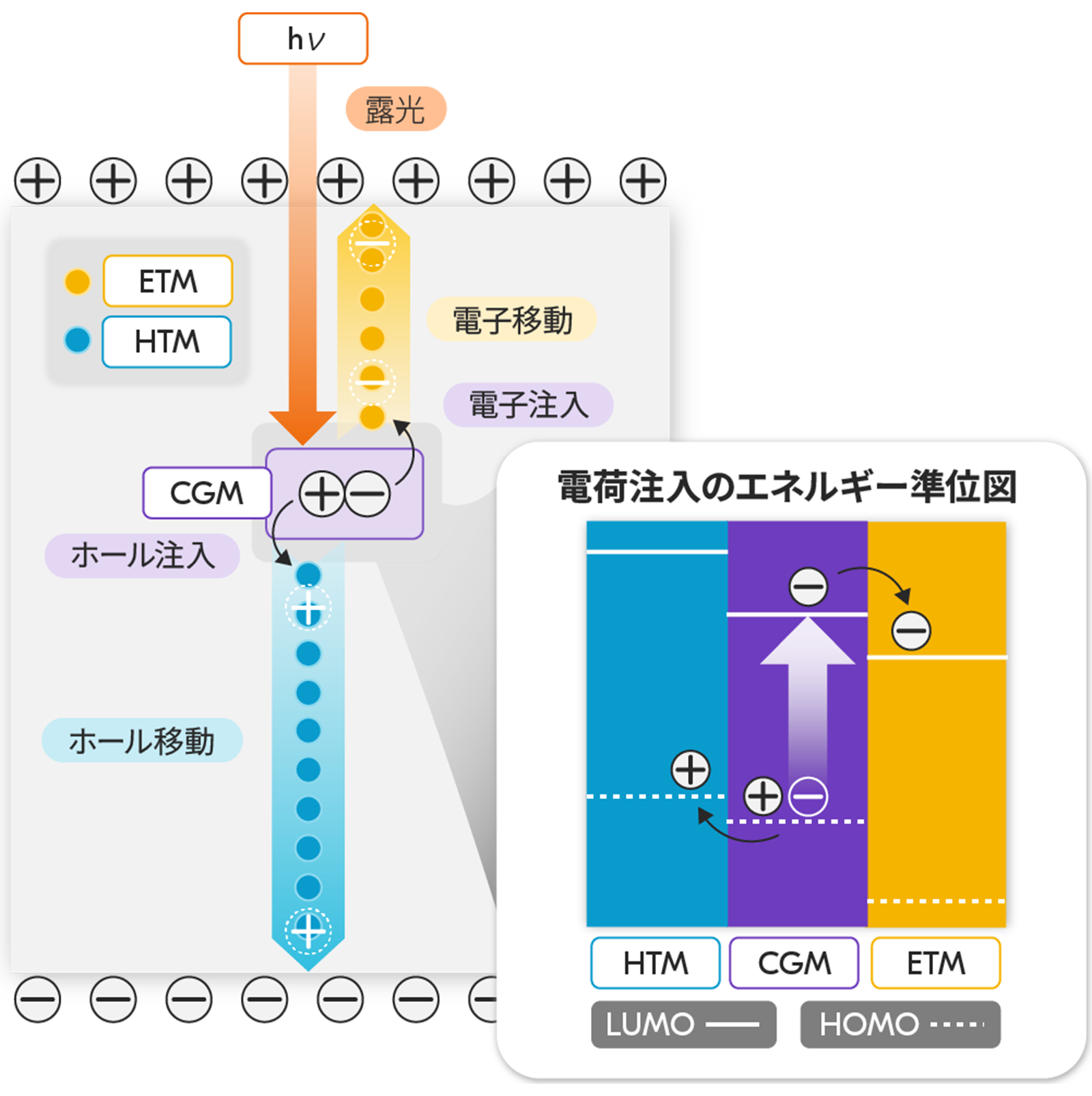 hole_transport_material-2