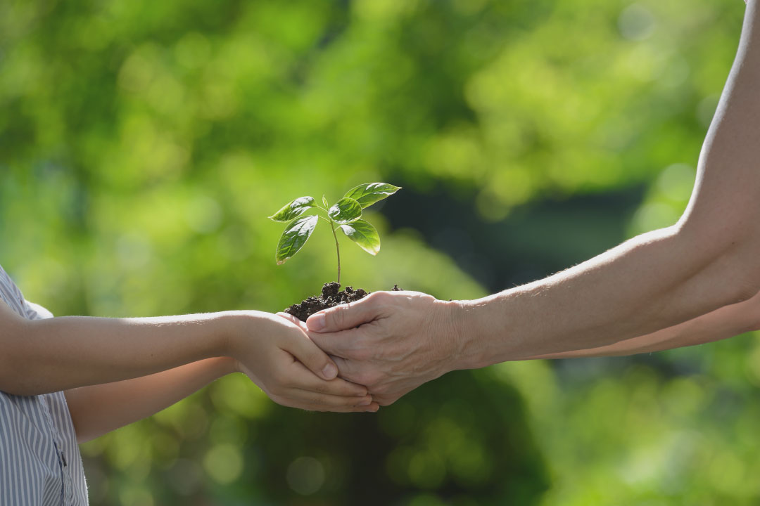 Complying with various environmental regulations