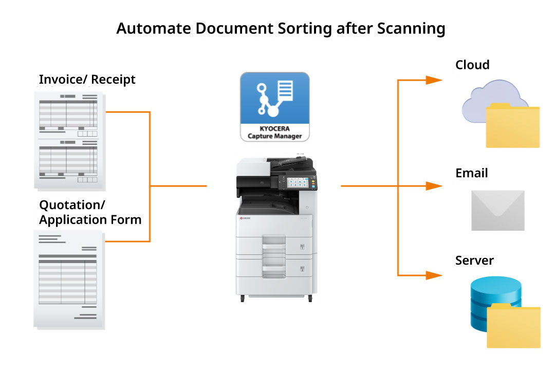 Optimize document organization workflow
