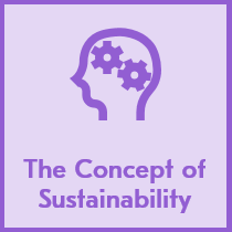 The Concept of Sustainability