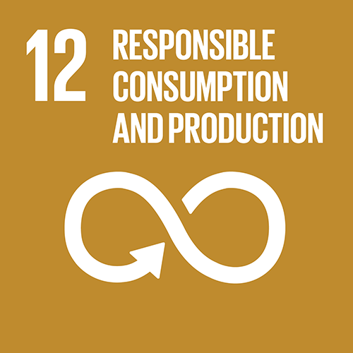 Responsible Consumption and Production