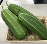 Tamatsukuri Kuromon Oriental Pickling Melon