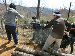 Installing Fencing for Preventing Deer