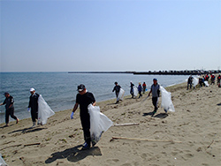 Participants Cleaning the Beach
