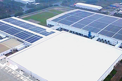 Vietnam Plant