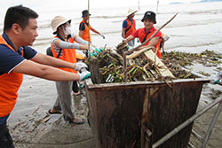 Clean-up activity at Dawson Beach#1