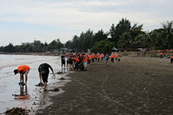 Clean-up activity at Dawson Beach#2
