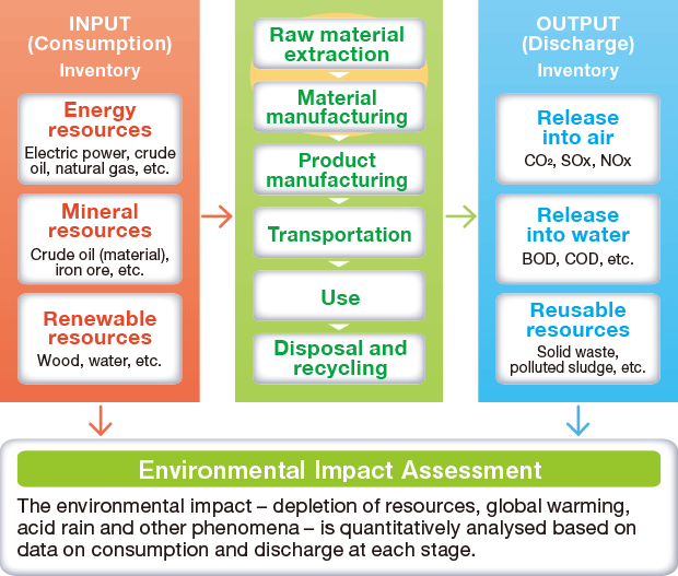 Life Cycle Stages