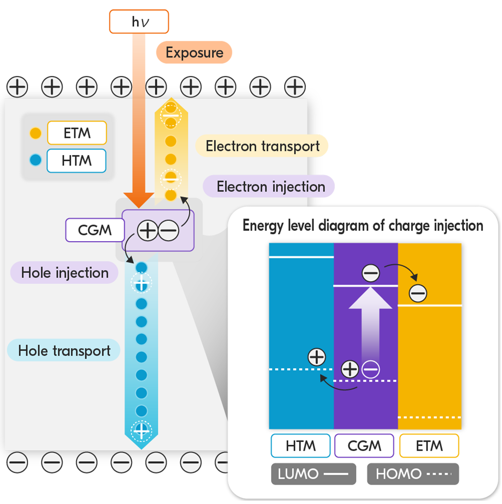 Our Strengths in HTM Technology for Perovskite Solar Cells and OPC Drums