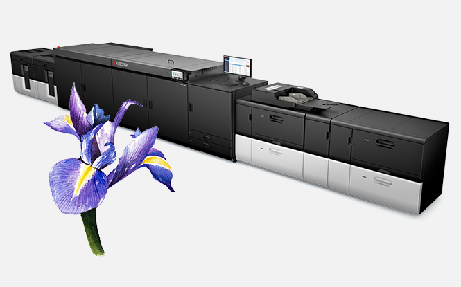 Commercial Printer TASKalfa Pro 55000c