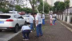 Cleanup activity around the plant department 