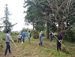 Participants cleaning up the site