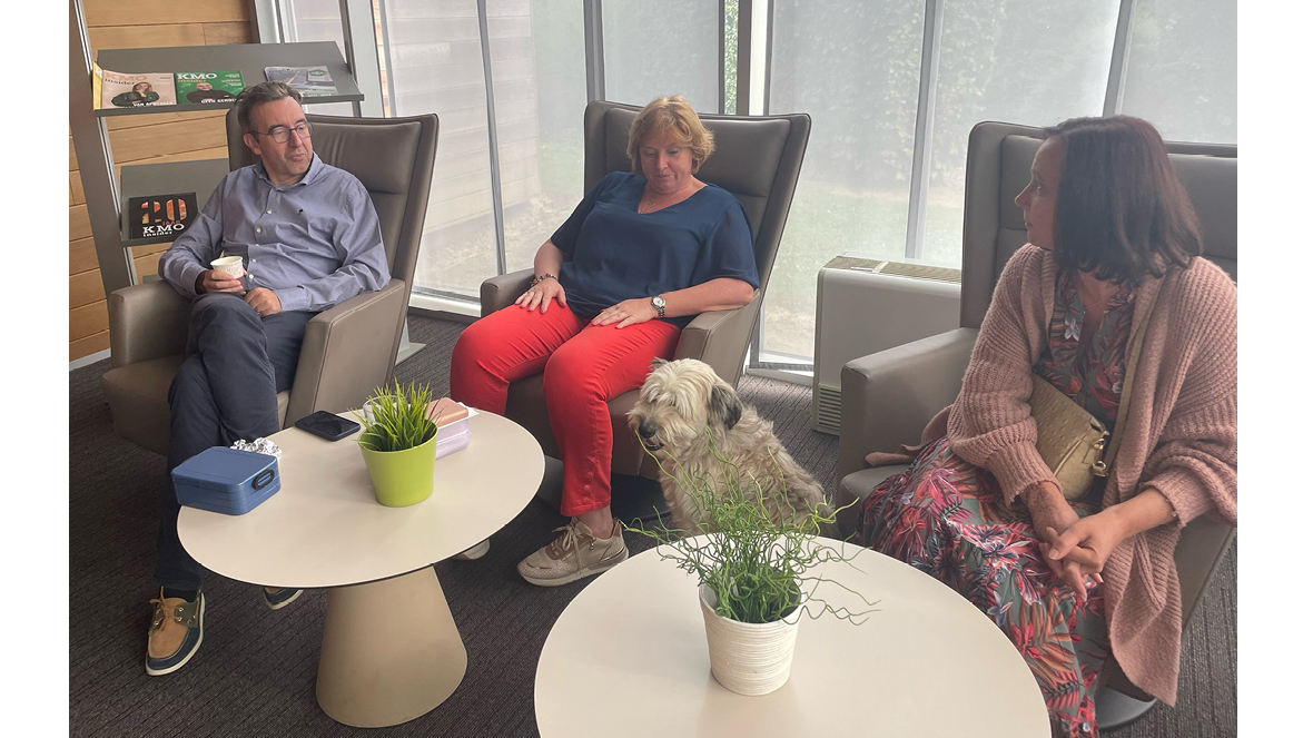 media image large-1180x663-dogatnoon