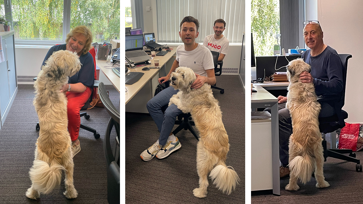 media image large-1180x663-dogwithpeople