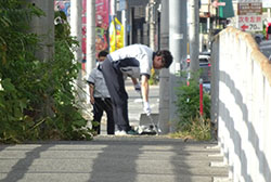 アドプト・ロード