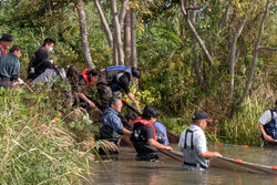 Participants conducting conservation activity