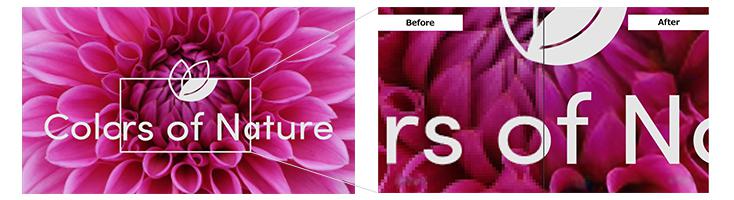 カラーA3複合機 TASKalfa 8353ci、モノクロA3複合機 TASKalfa 9003i