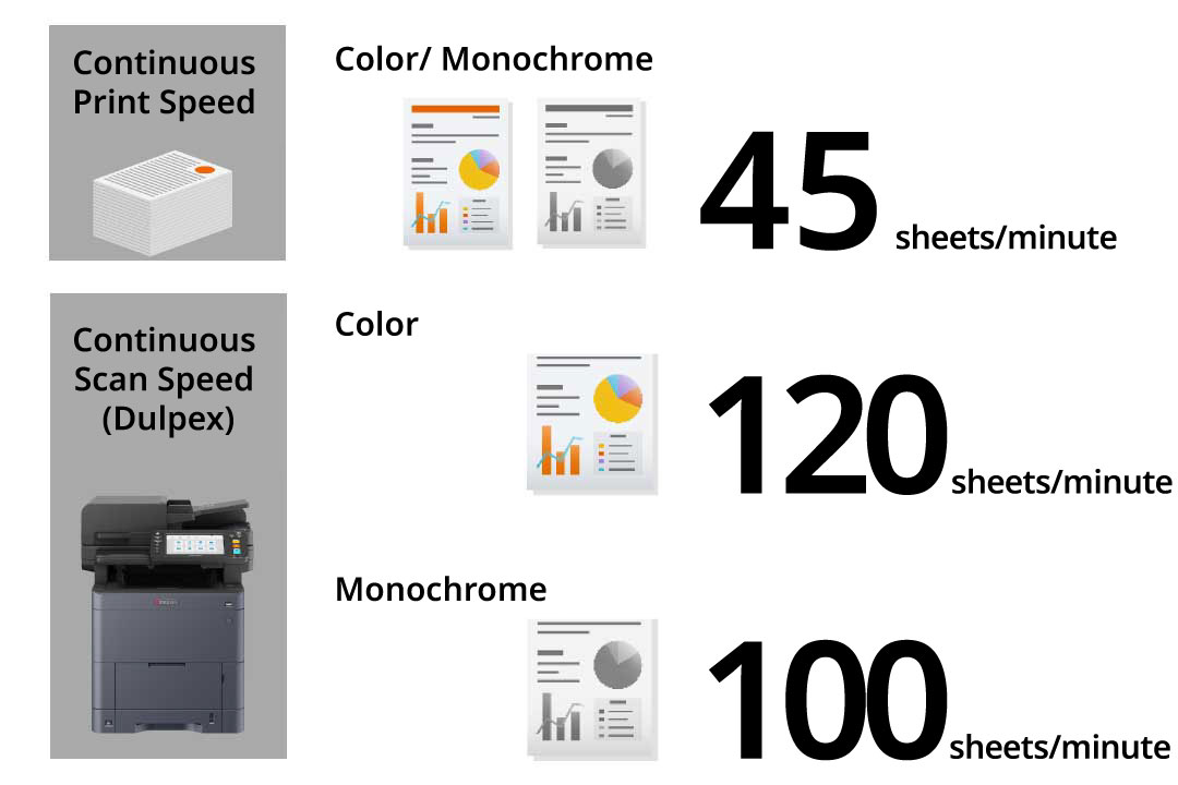 A maximum of four paper feeders are allowed.