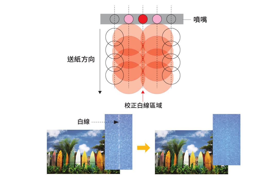 白色線條校正