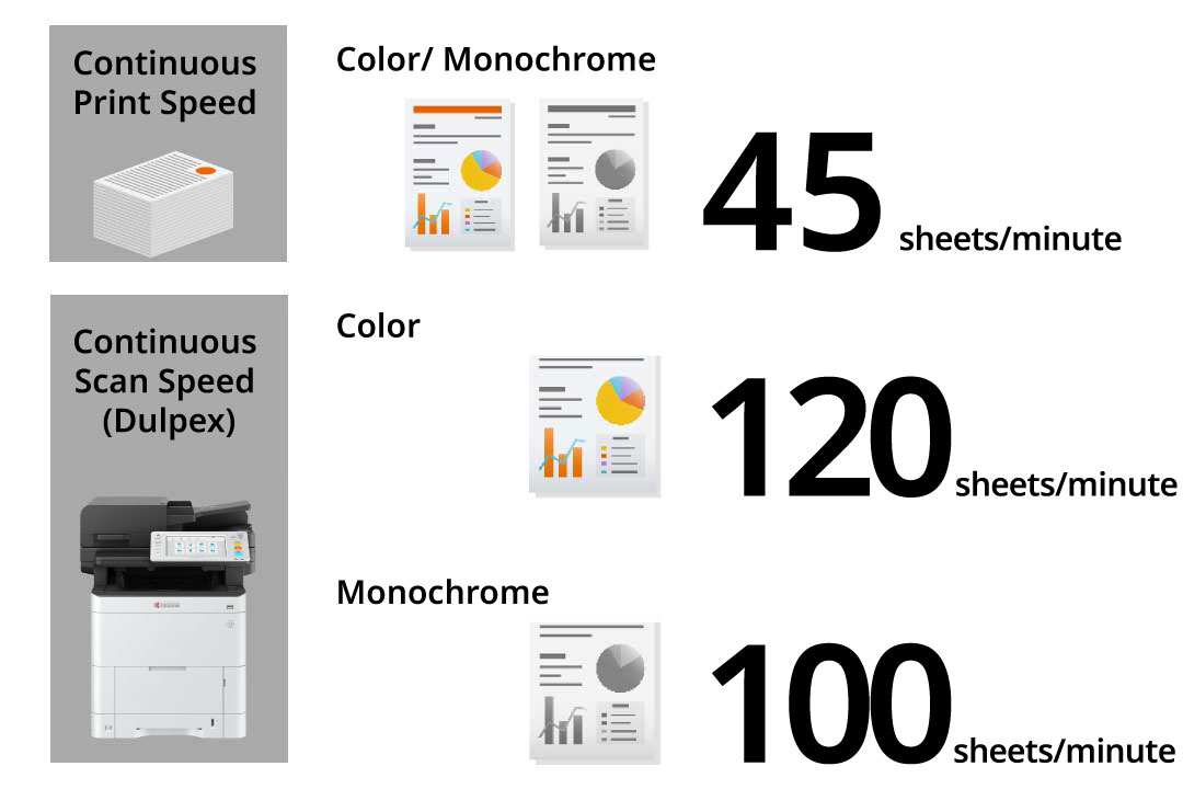 A maximum of four paper feeders are allowed.